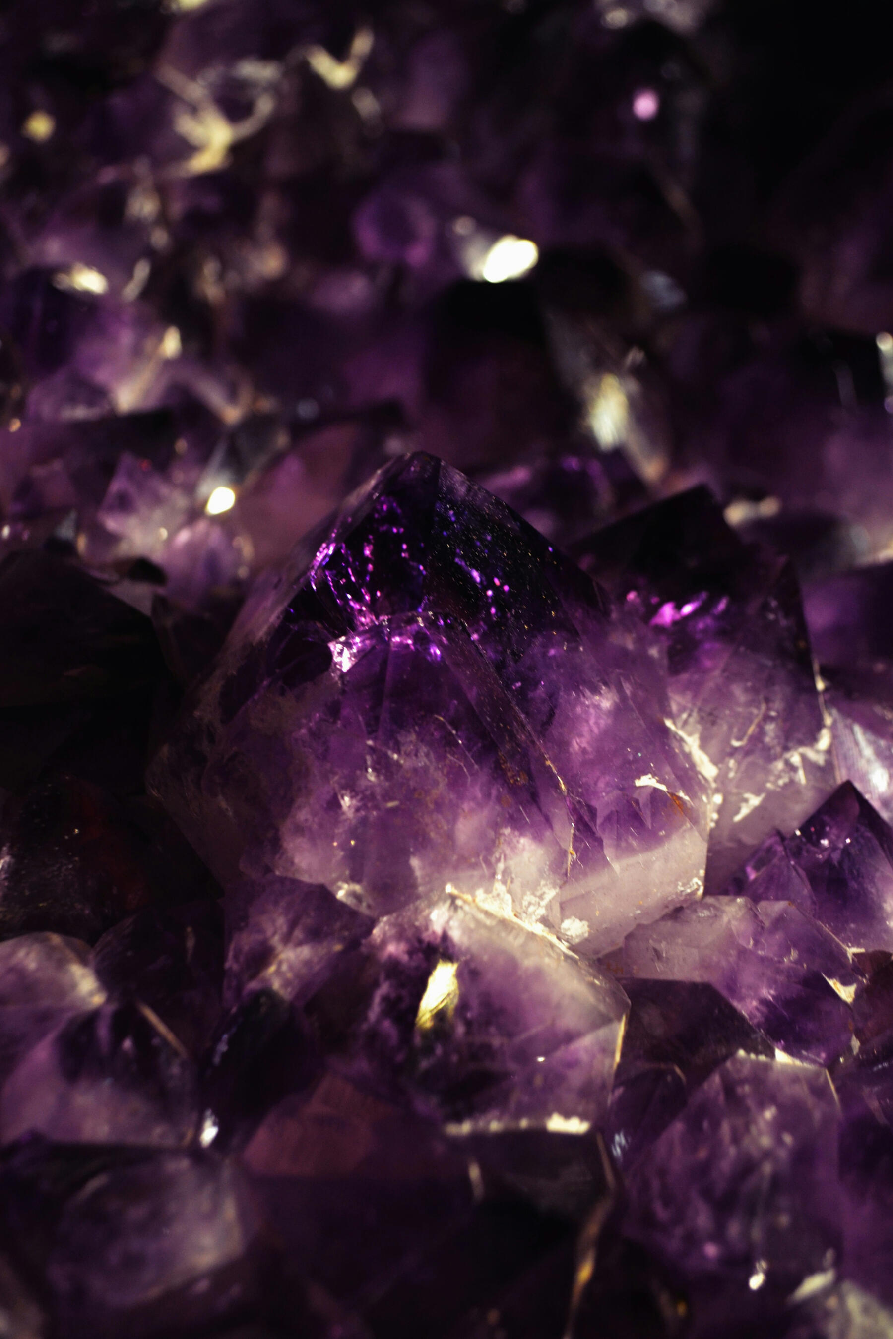 Molly Toomey MSW - psychological psychosocial counseling, therapy Germany international - LGBTQ neurodivergent immigrant expat Molly Toomey MSW - psychological psychosocial counseling, therapy Germany international - LGBTQ neurodivergent immigrant expat