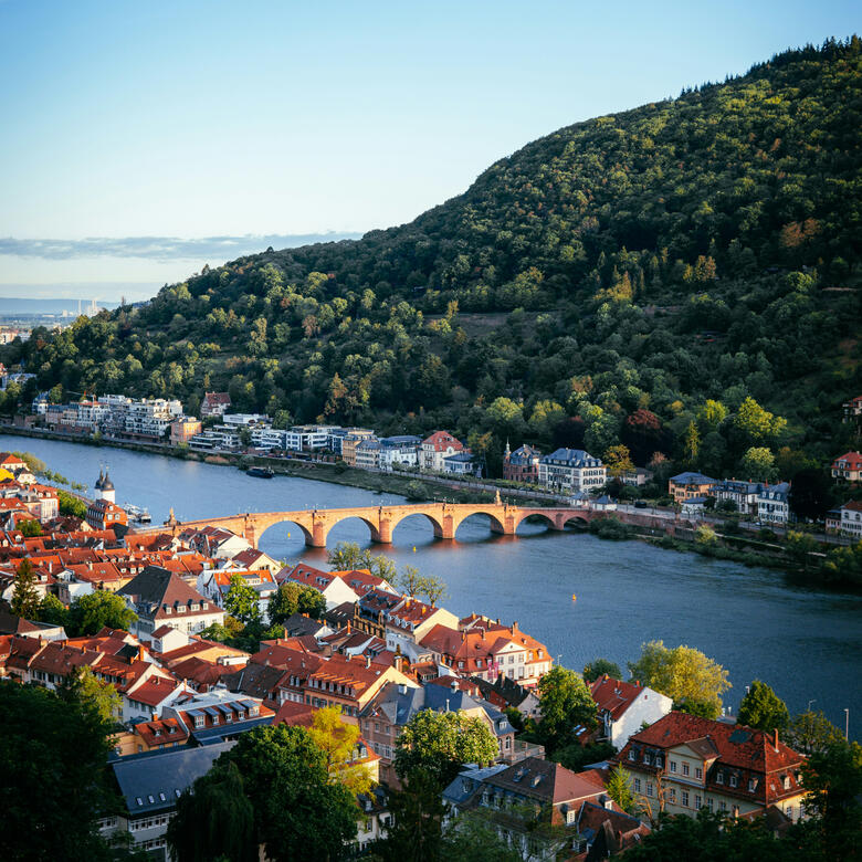 Molly Toomey - Clinical mental health counselor & consultant - online from Jena Germany